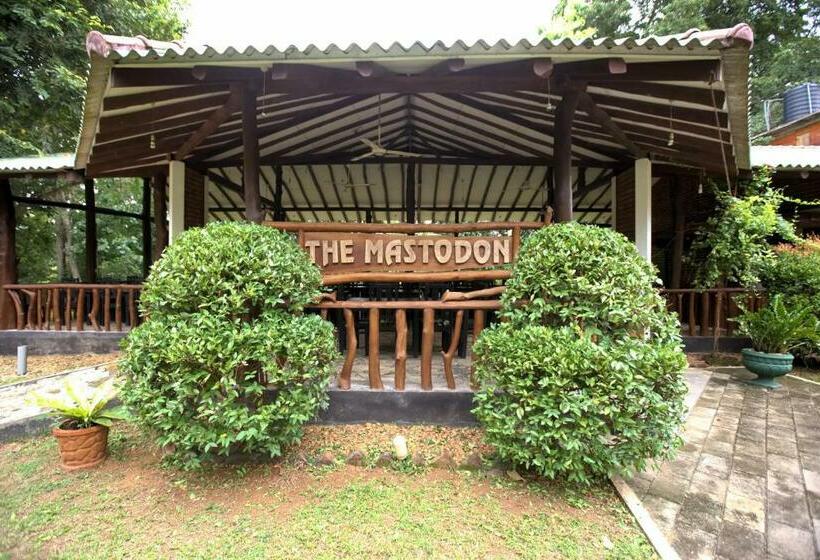 The Mastodon Valley Safari Resort