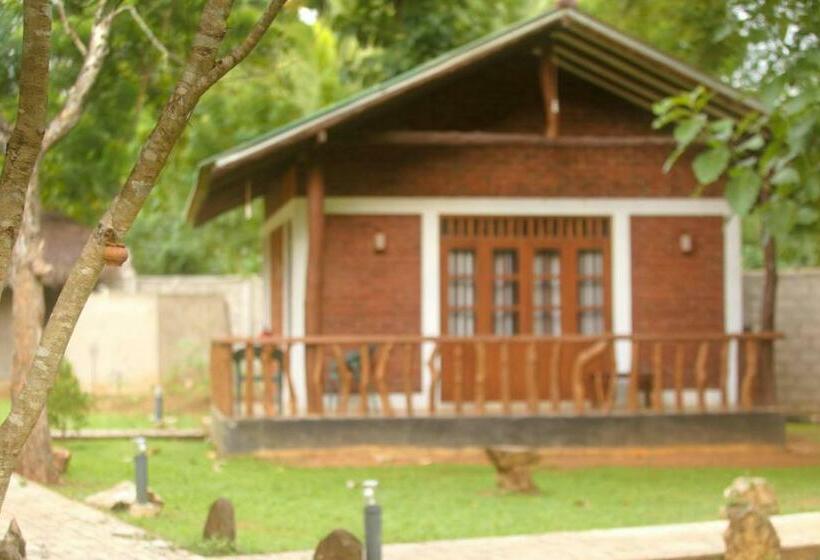 The Mastodon Valley Safari Resort