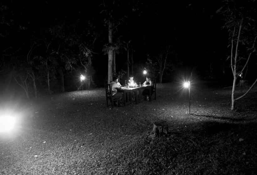 The Mastodon Valley Safari Resort