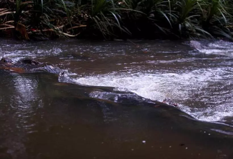 The Mastodon Valley Safari Resort