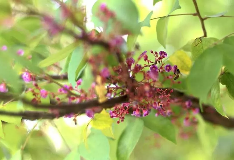 The Mastodon Valley Safari Resort