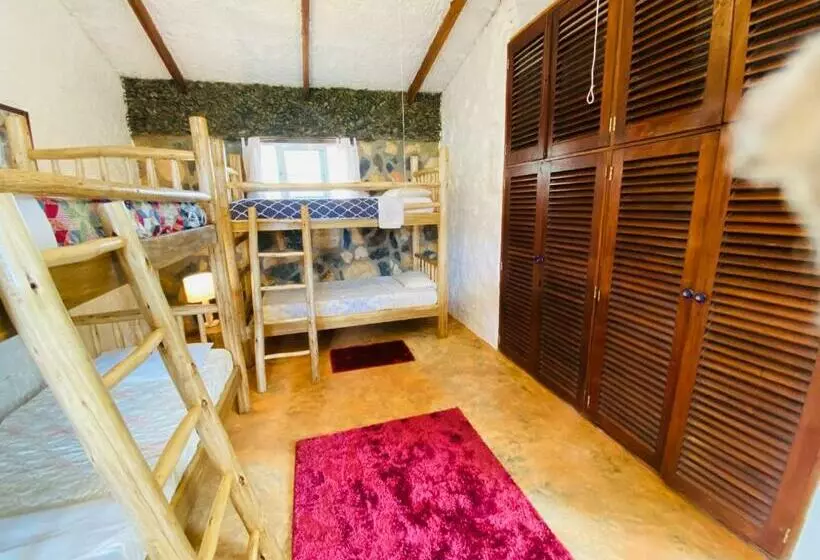 هاستل Home Onthe Nile Dorm