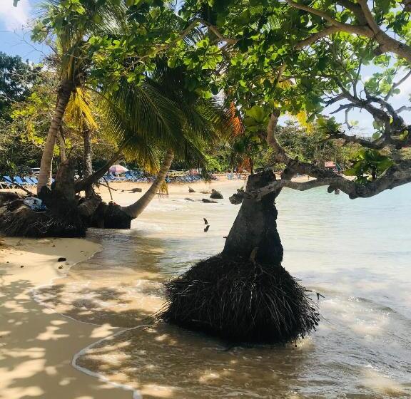 هتل Oasis En La Naturaleza Rancho Alto Bonito