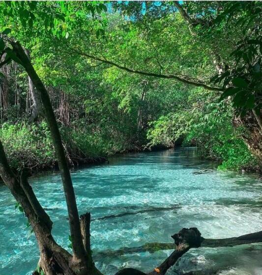 هتل Oasis En La Naturaleza Rancho Alto Bonito