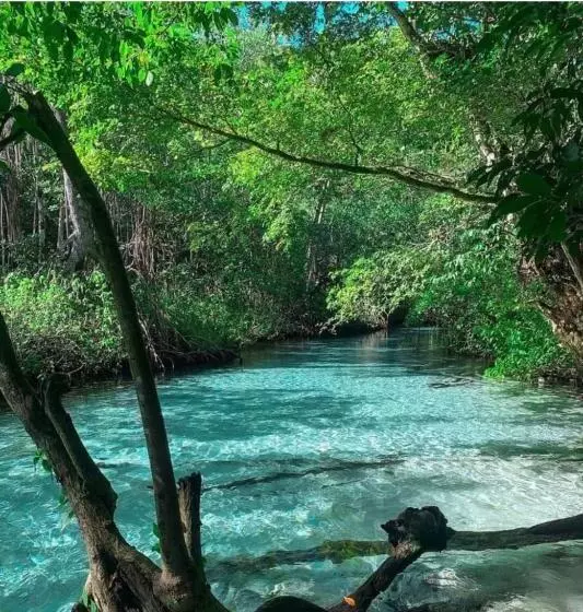 هتل Oasis En La Naturaleza Rancho Alto Bonito