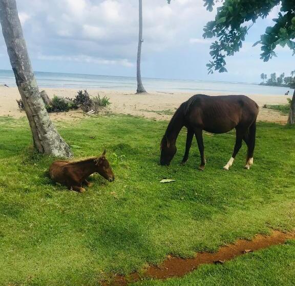 هتل Oasis En La Naturaleza Rancho Alto Bonito