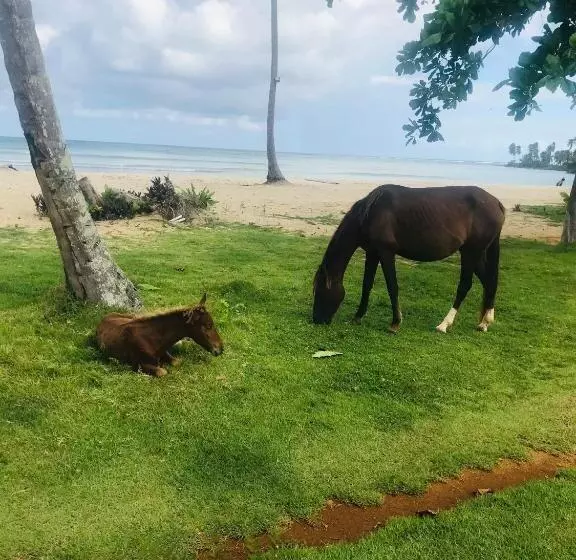 هتل Oasis En La Naturaleza Rancho Alto Bonito