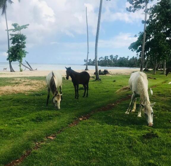 هتل Oasis En La Naturaleza Rancho Alto Bonito