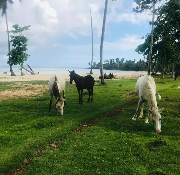 هتل Oasis En La Naturaleza Rancho Alto Bonito