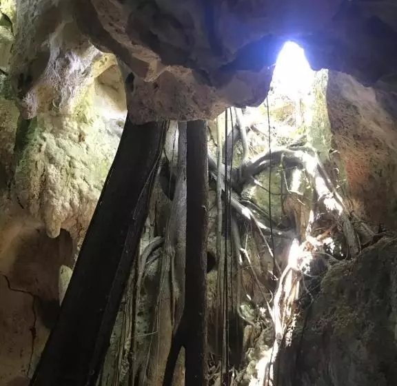 هتل Oasis En La Naturaleza Rancho Alto Bonito