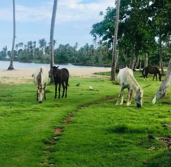 هتل Oasis En La Naturaleza Rancho Alto Bonito