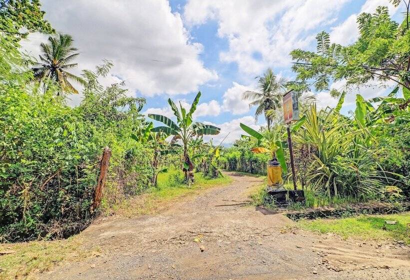 酒店 Spot On 92404 Pondok Ai