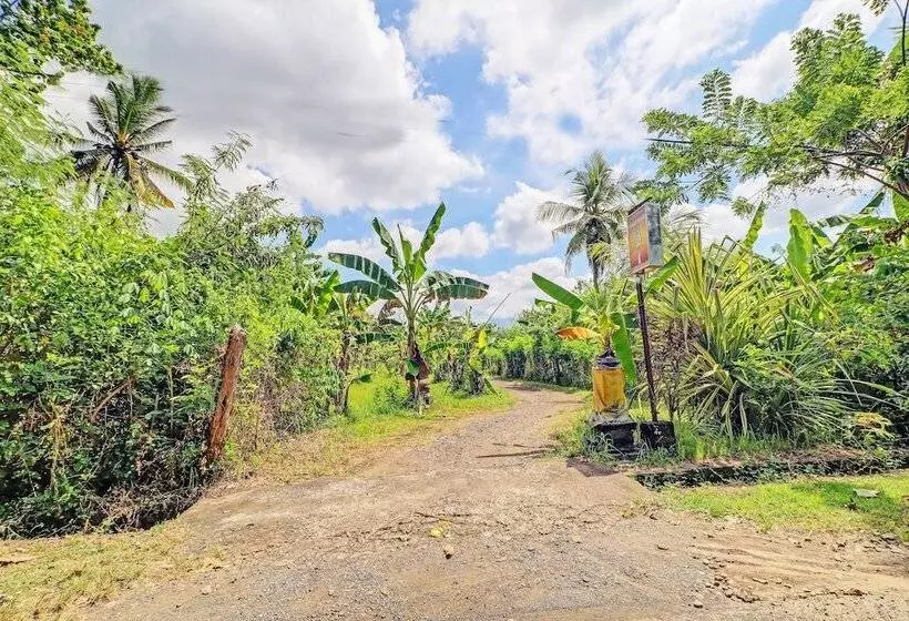 Hotelli Spot On 92404 Pondok Ai