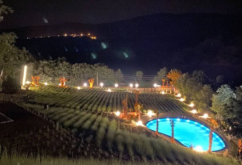 住宿加早餐 Eva Lavanda Kazdağları