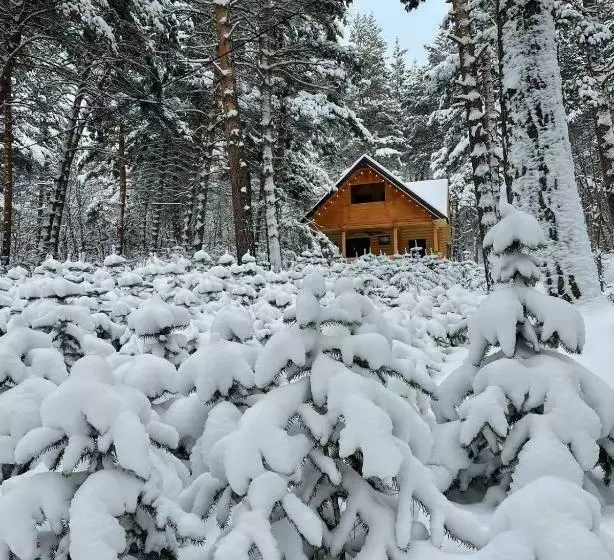 Aamiaismajoitus (B&B) Yeghevni Rest House