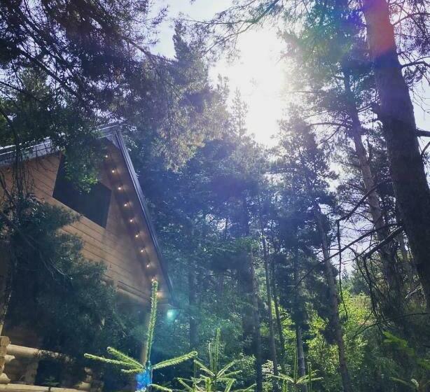 Bed and Breakfast Yeghevni Rest House