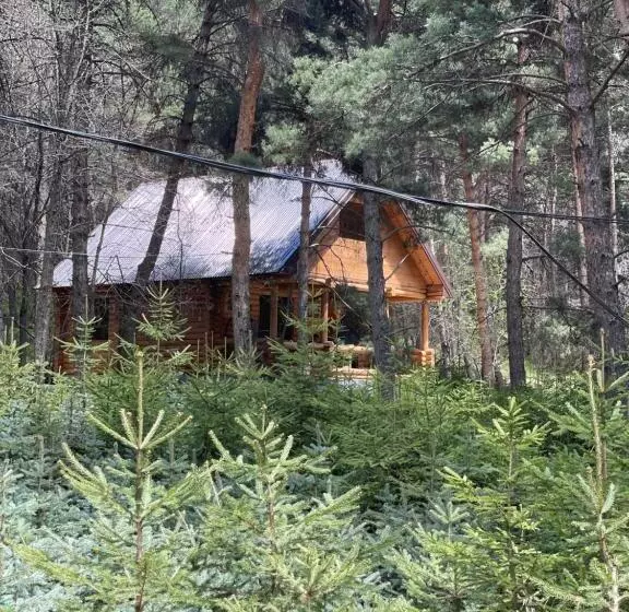 Aamiaismajoitus (B&B) Yeghevni Rest House