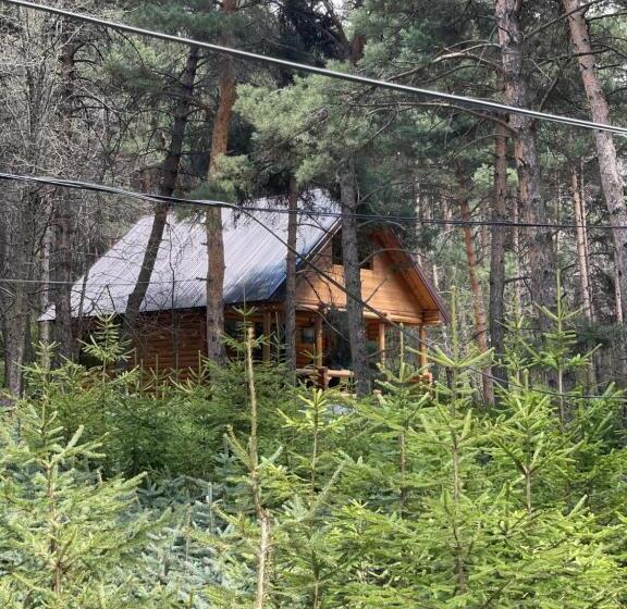 Bed and Breakfast Yeghevni Rest House