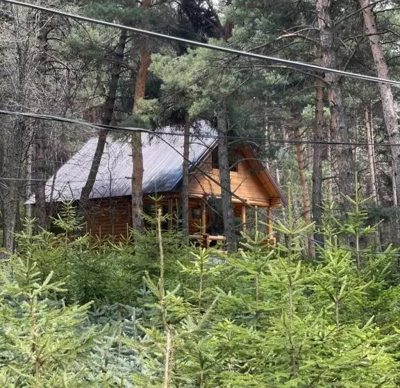 Aamiaismajoitus (B&B) Yeghevni Rest House