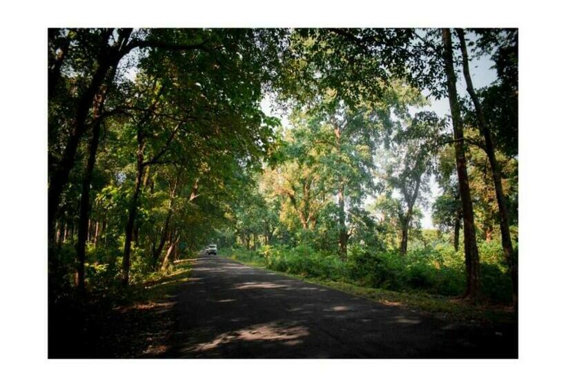 Hotell Aranyabas Homestay Chilapata