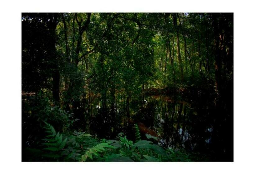 Hotell Aranyabas Homestay Chilapata