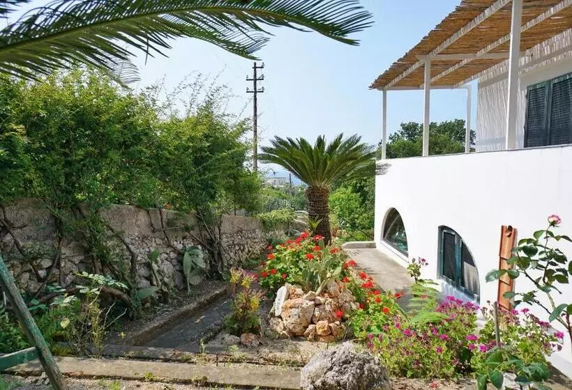 ペンション Dimora Storica Villa Pasquale Capri