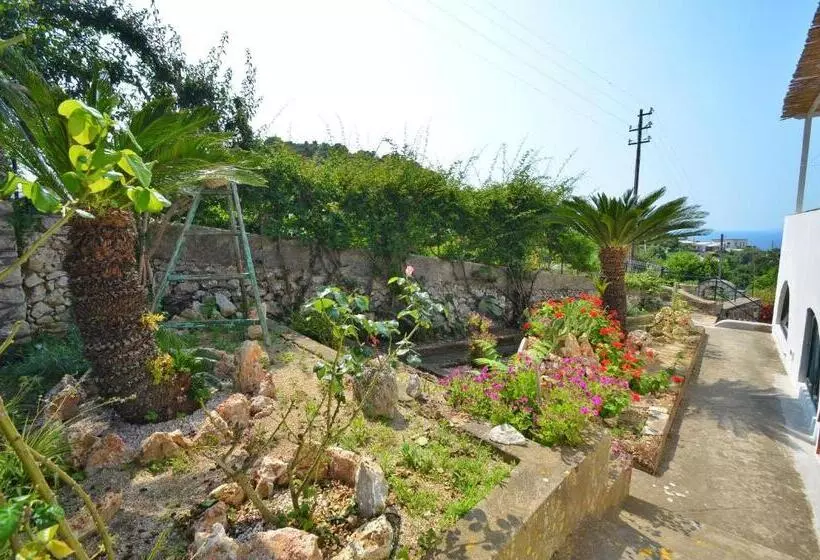 ペンション Dimora Storica Villa Pasquale Capri