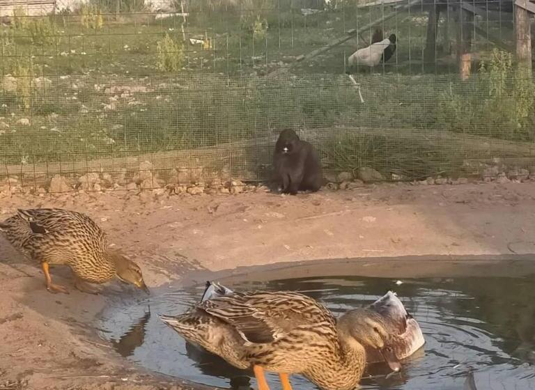 Hotel Agriturismo B&b Li Massari