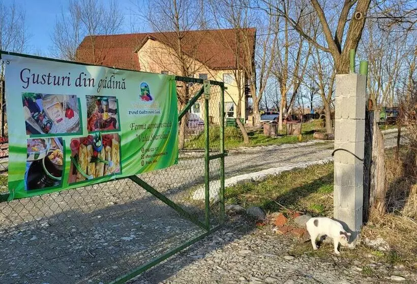 ホテル Ferma Valea Soarelui