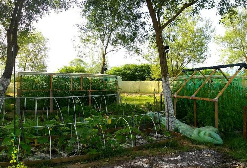 هتل Ferma Valea Soarelui