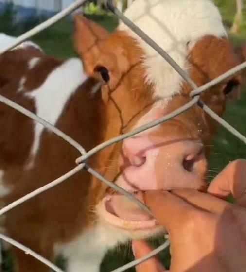 هتل Sunrise Guamal