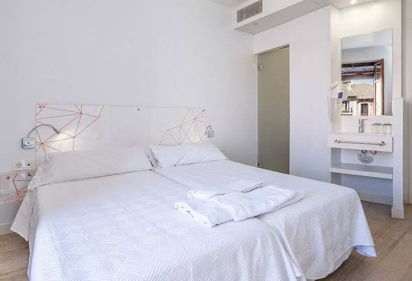 Hôtel (catégorie 1/2 *) AMC Granada