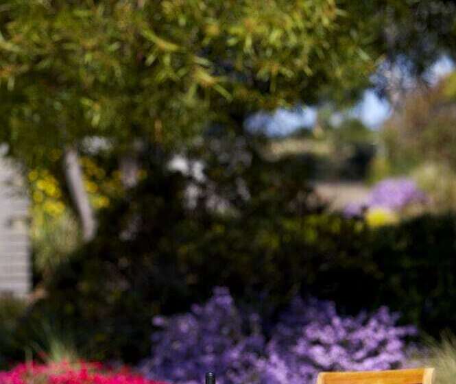 فندق Club Wyndham Seven Mile Beach, Trademark Collection By Wyndham