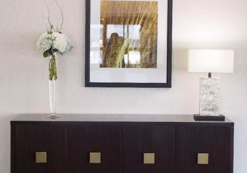 فندق Hilton Garden Inn Longview