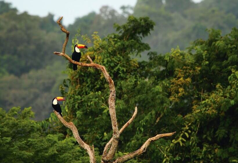 Otel Mocona Virgin Lodge