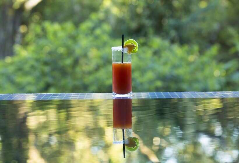 Otel Mocona Virgin Lodge