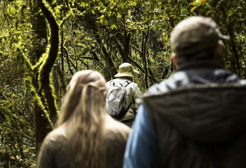 Hotel Mocona Virgin Lodge