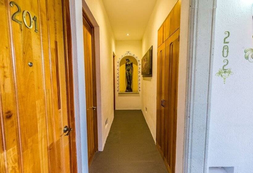 Отель Oaxaca Inn Centro