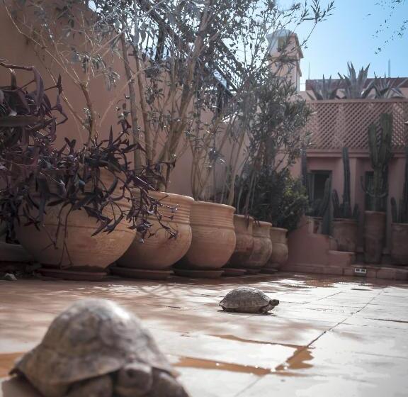 هتل Riad Dar Habiba By Garden Wonders