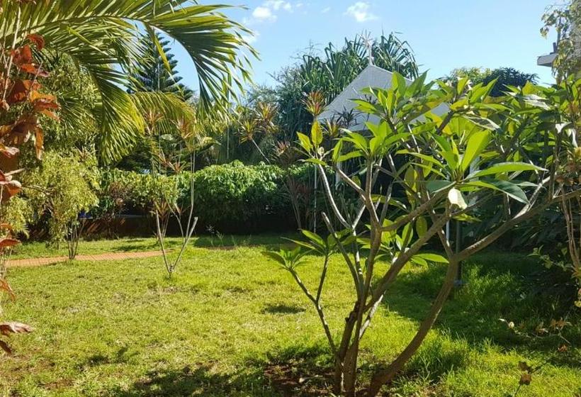 West Coast View Studios & Appartment