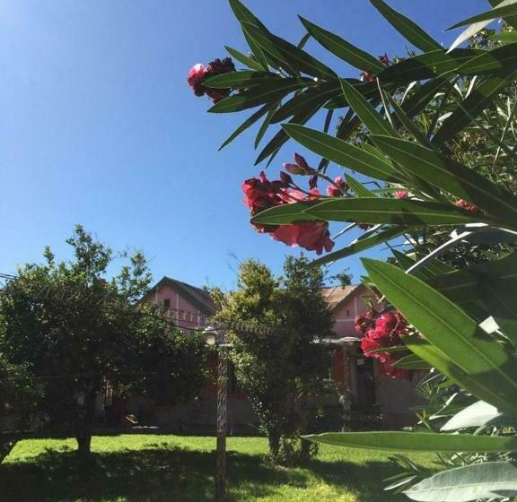 旅馆 Sayani Posada