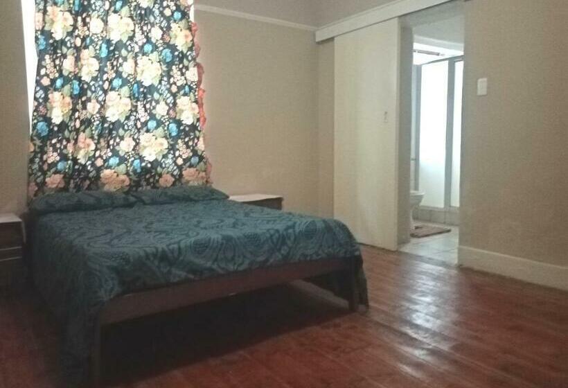 هاستل Budget Accommodation