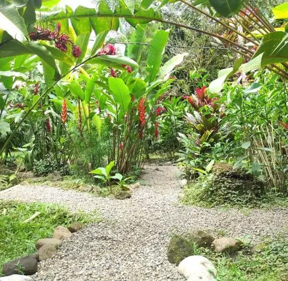 Aamiaismajoitus (B&B) Casita Lidia Bijagua