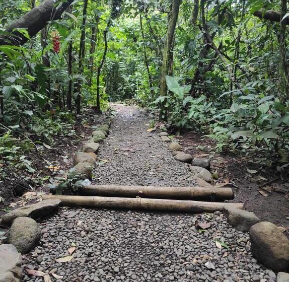 ベッドアンドブレックファースト Casita Lidia Bijagua