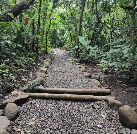 Aamiaismajoitus (B&B) Casita Lidia Bijagua