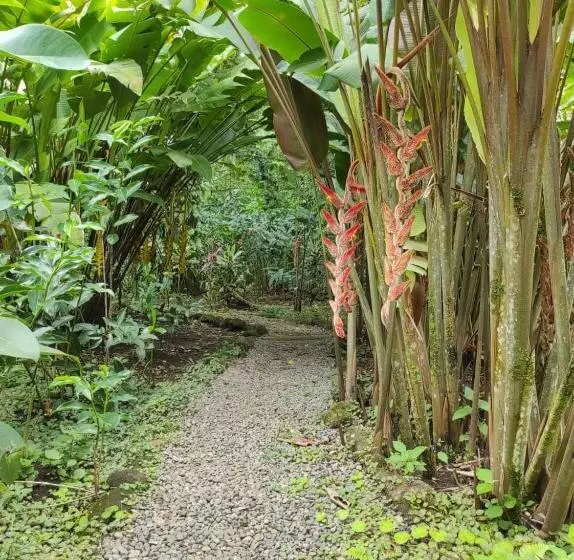 Aamiaismajoitus (B&B) Casita Lidia Bijagua