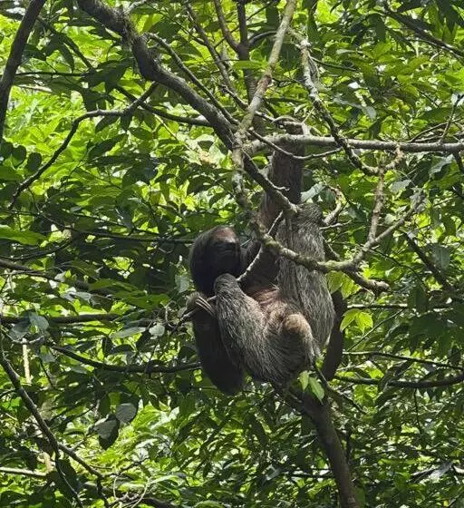 Aamiaismajoitus (B&B) Casita Lidia Bijagua