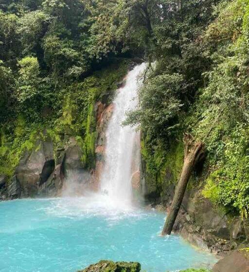 ベッドアンドブレックファースト Casita Lidia Bijagua