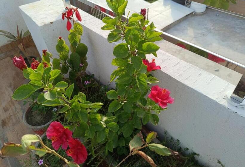 בית מלון כפרי Hare Krishna Ambiance Vbn