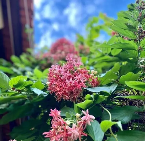 ホテル Liên Tho Phú Quốc